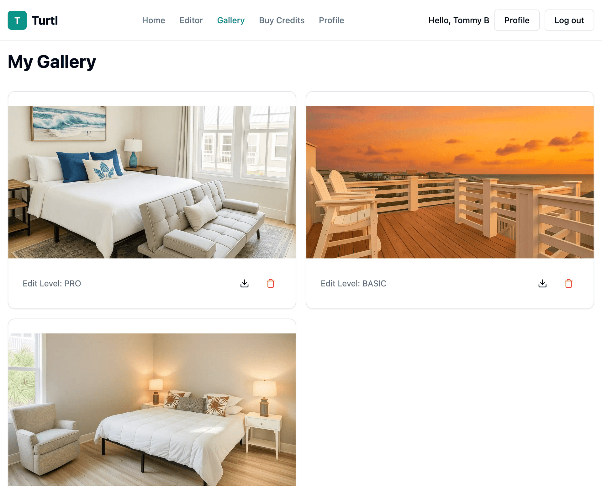 Screenshot of save to gallery button