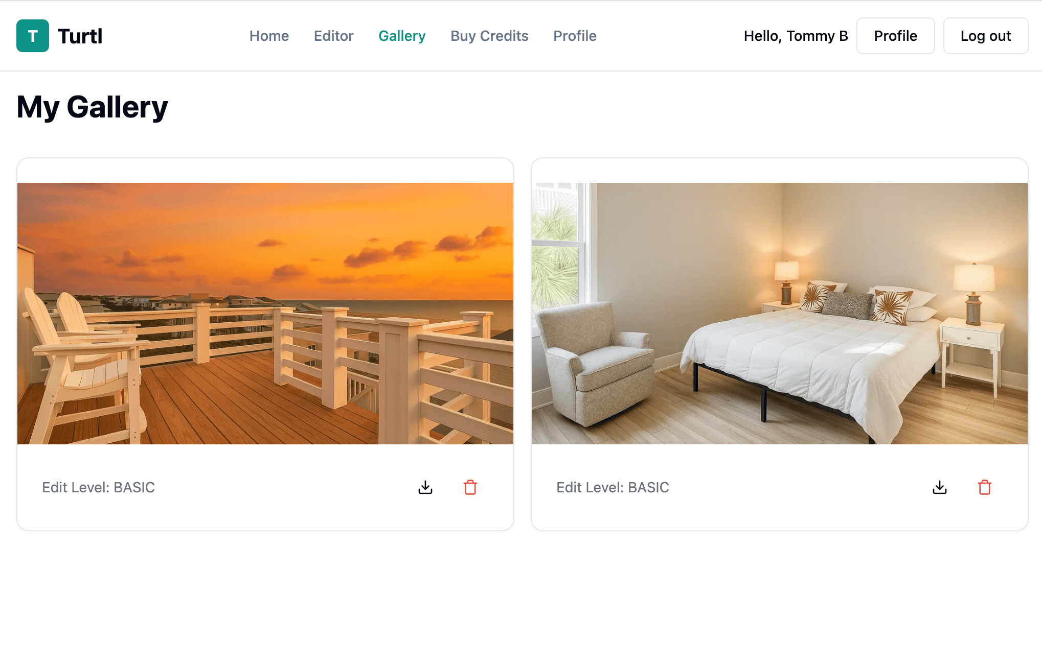 Our Story: Why Turtl Exists