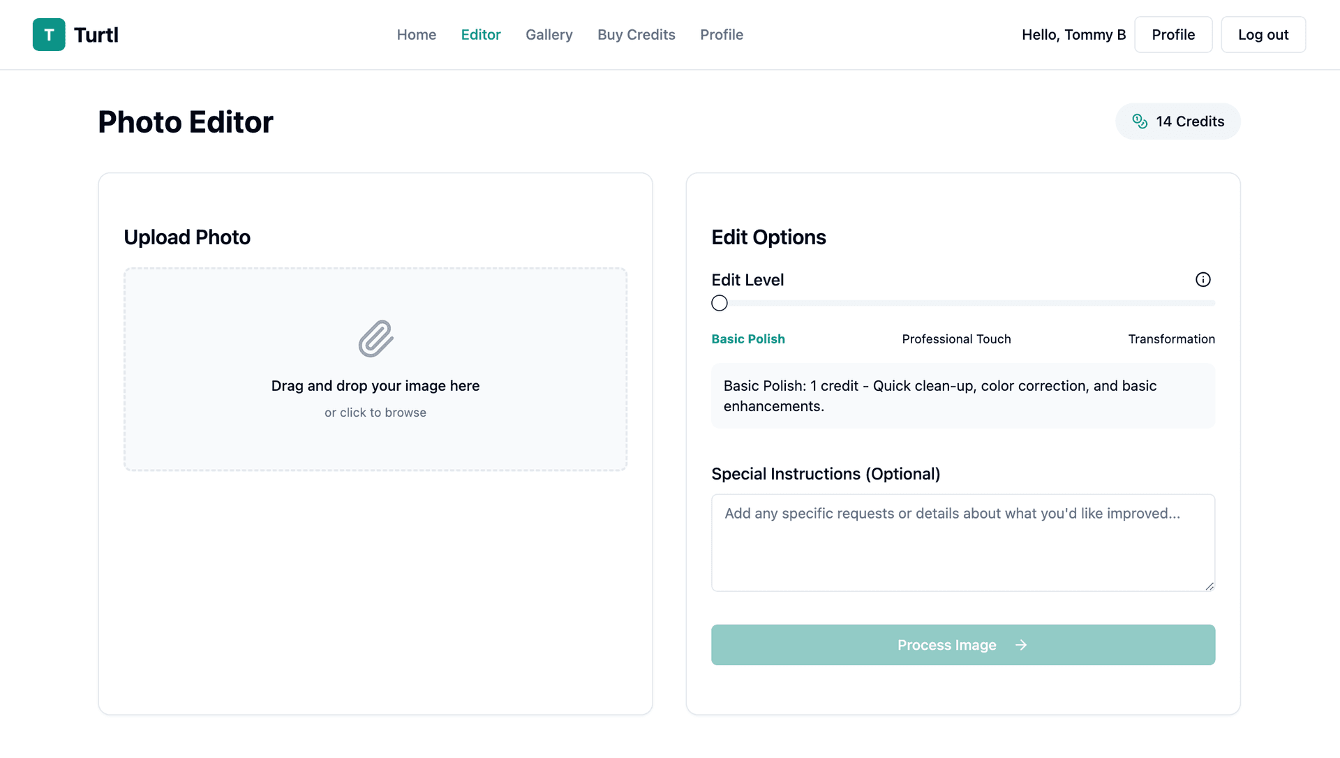 Screenshot of Turtl upload interface
